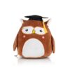 Squishie Personalised Graduation Owl